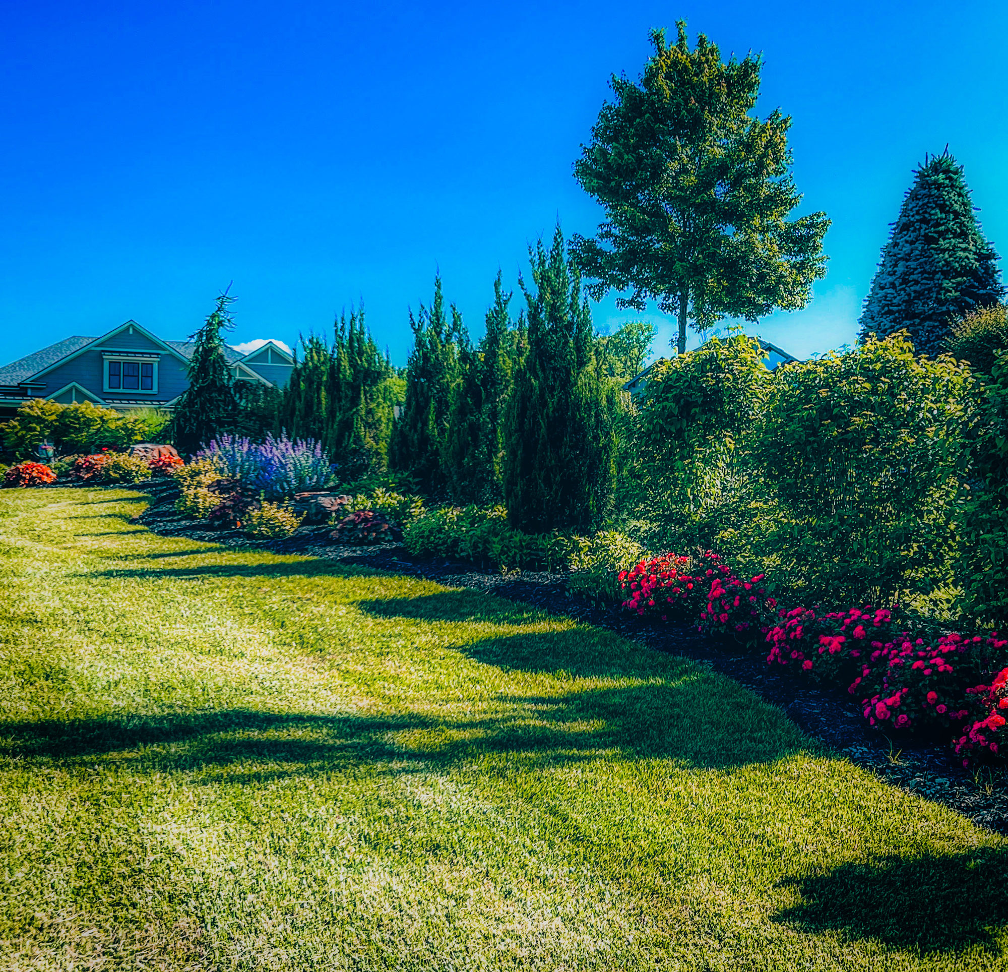 Lush landscaped garden featuring vibrant flowers, evergreen shrubs, and a well-maintained lawn, showcasing professional landscaping design by Atlas Landscape KC.