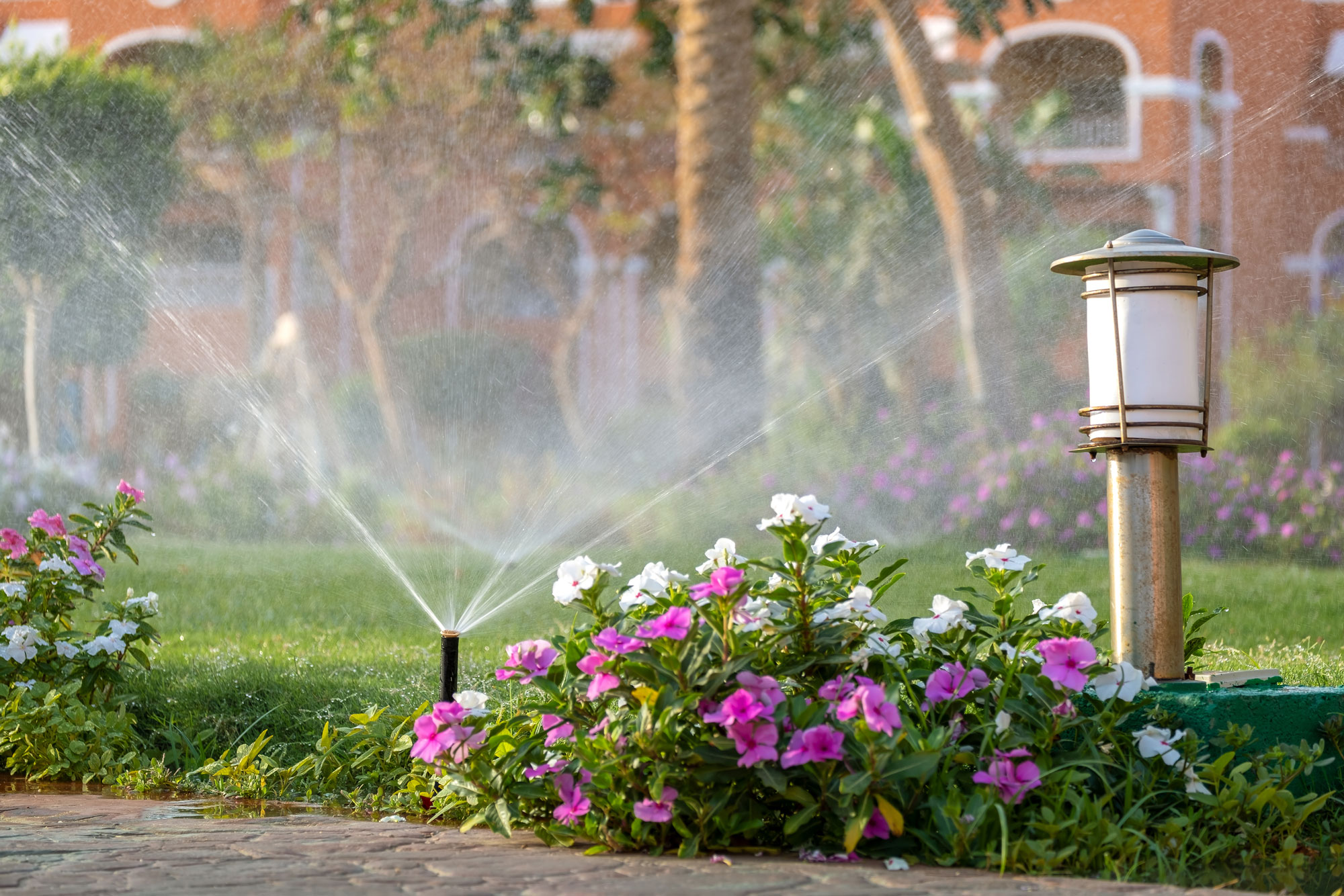 Plastic sprinkler irrigating colorful flower bed with pink and white blooms in a lush green landscape.