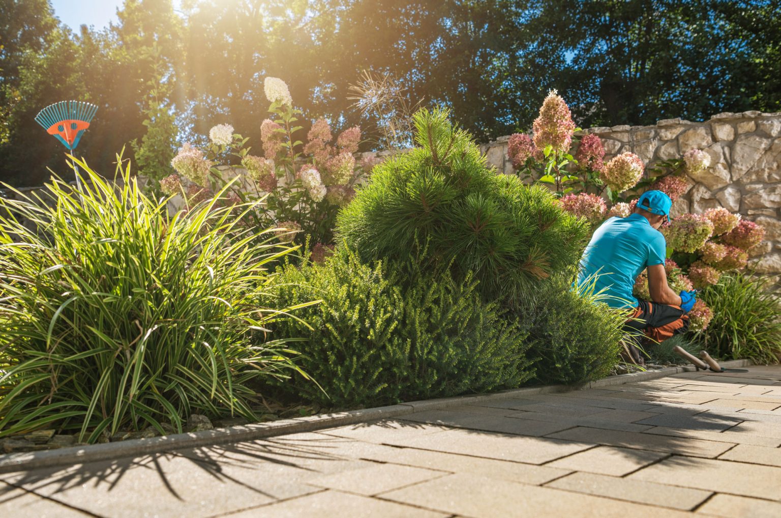Landscaper tending a newly planted flower and shrub bed beside a paved path