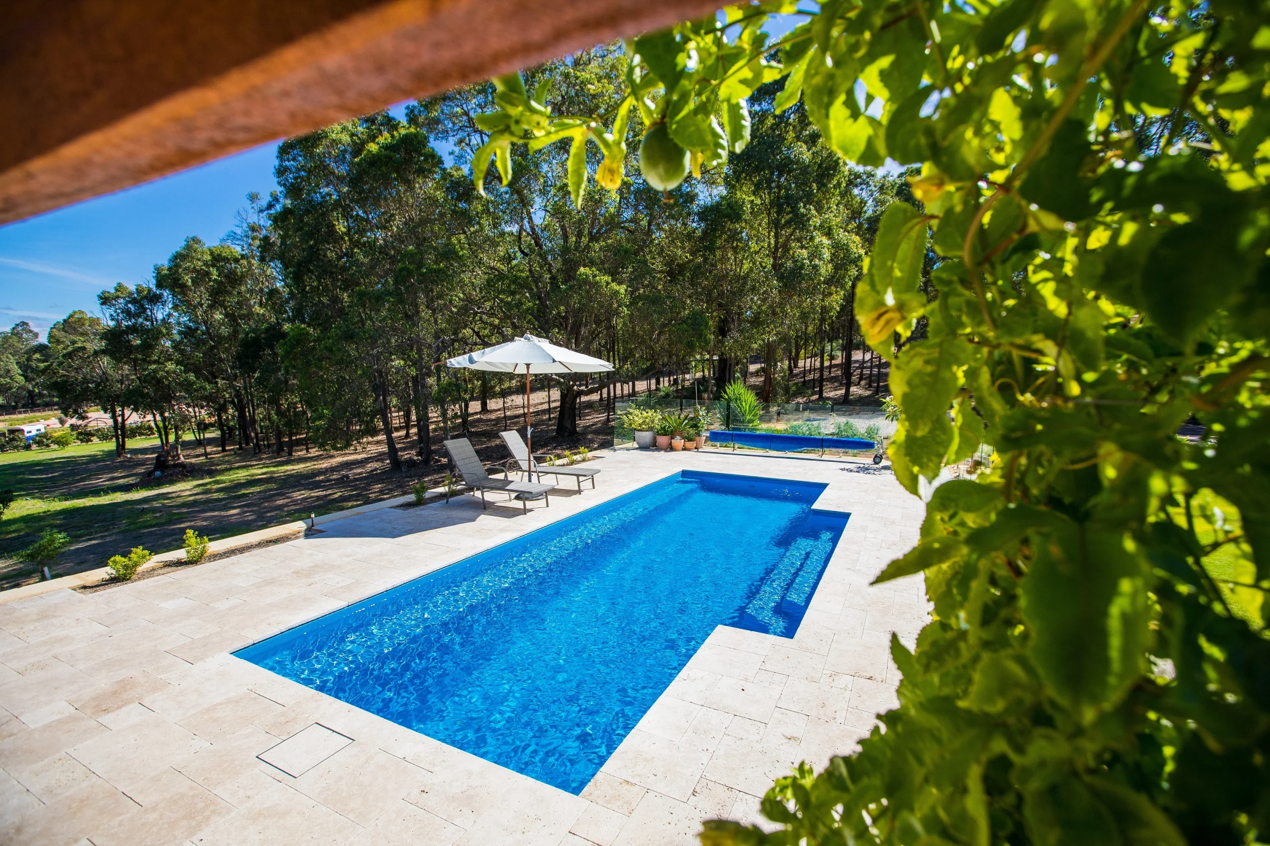 Custom plunge pool surrounded by lush greenery, featuring lounge chairs and an umbrella, highlighting outdoor living space enhancement.
